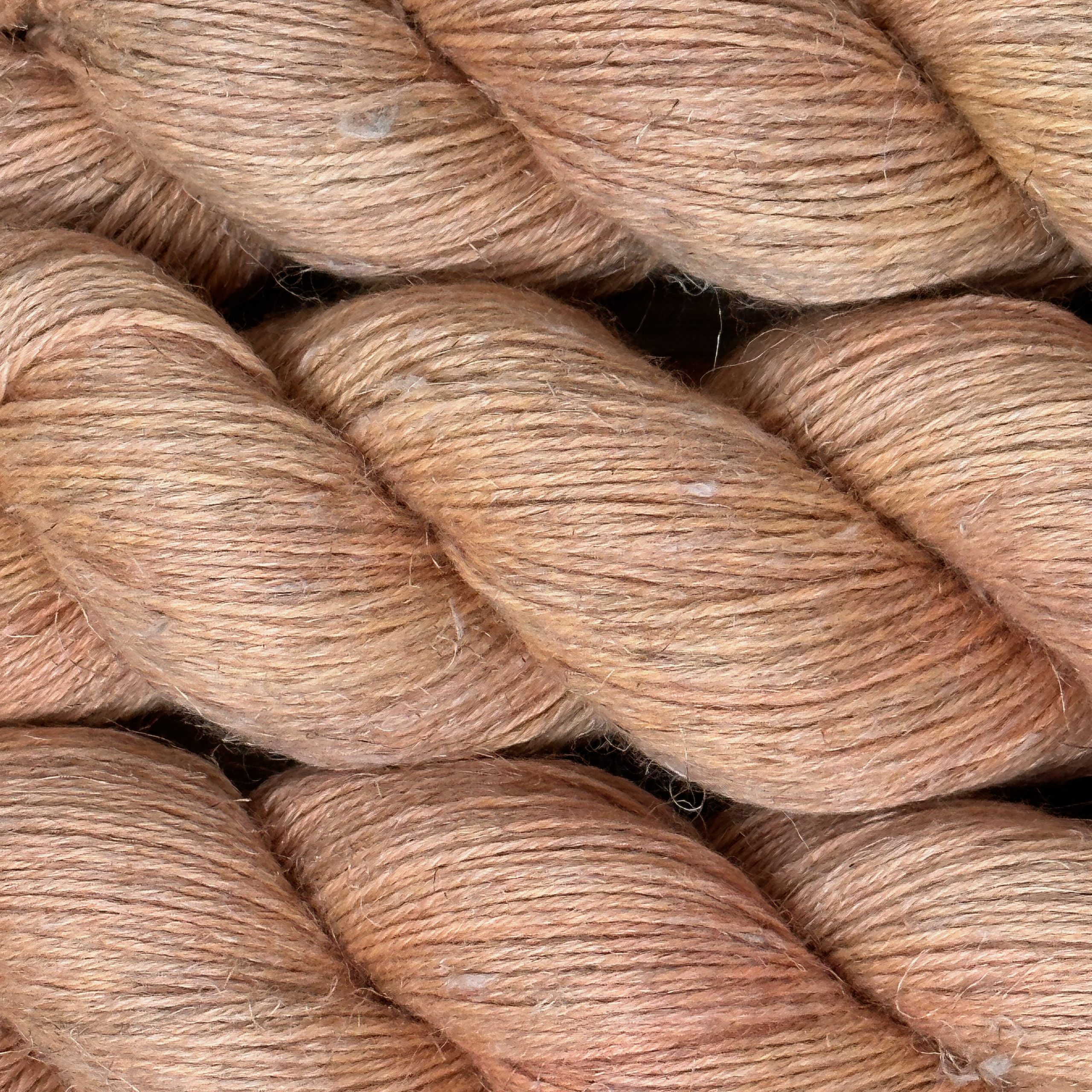 tender peach