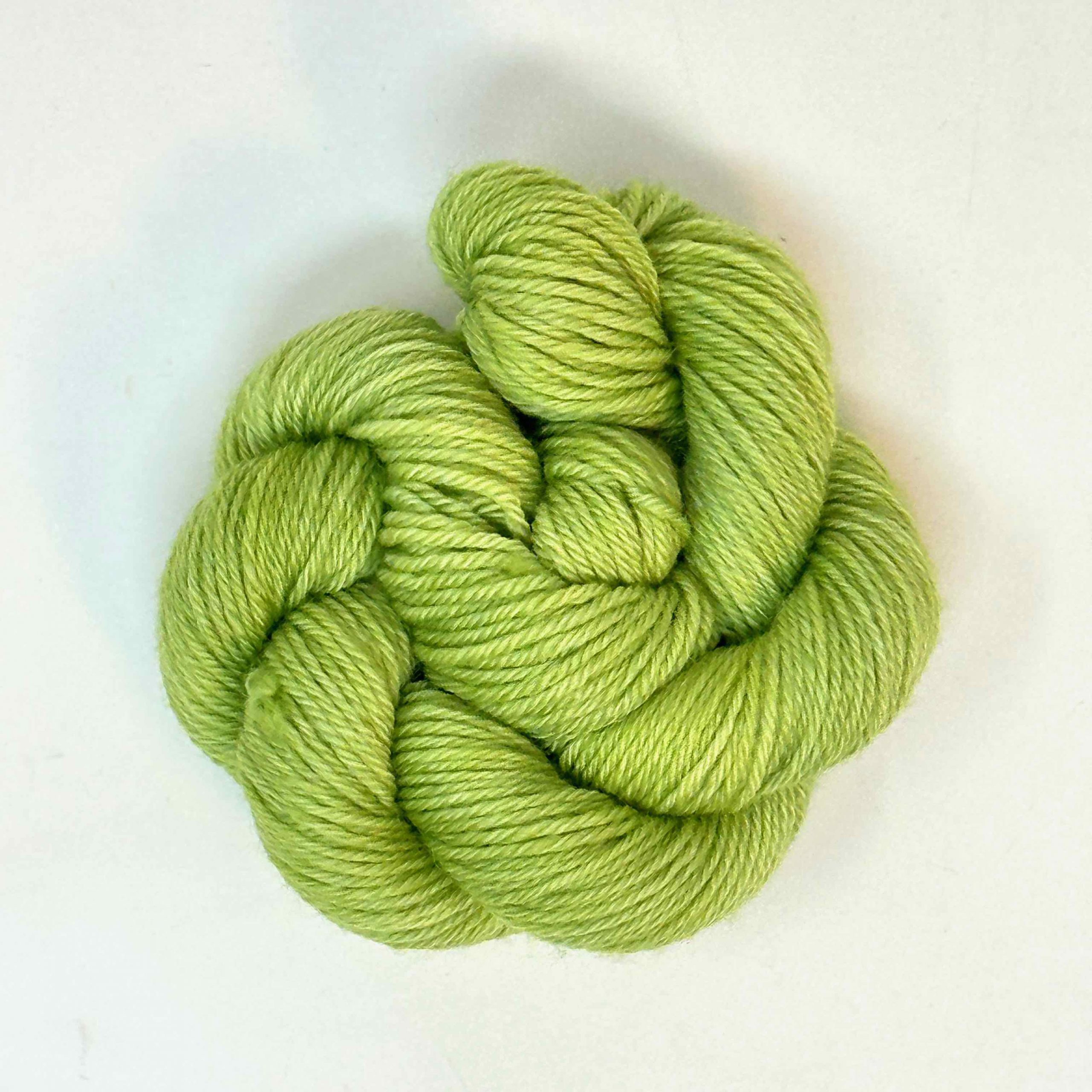 MINI PRIMAVERA