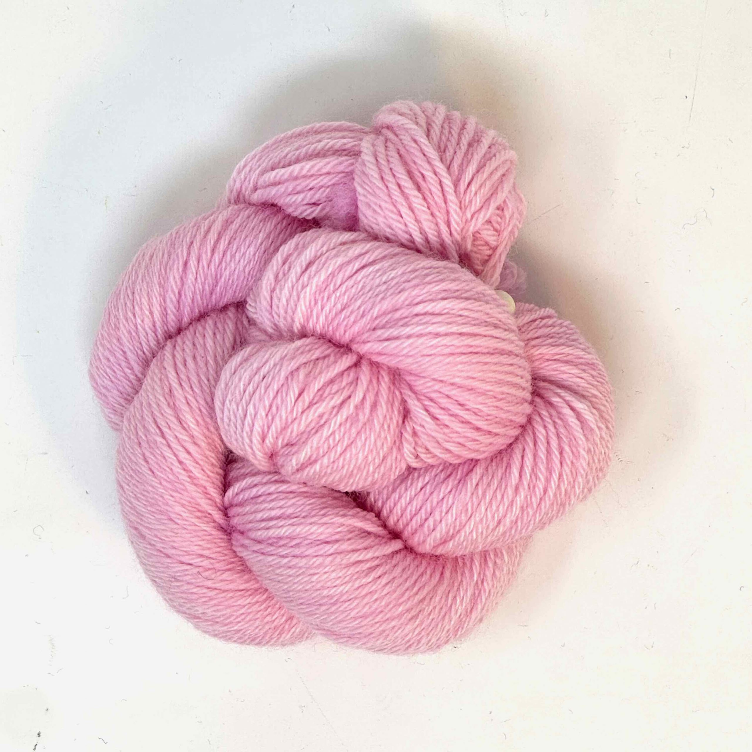 MINI ROSA