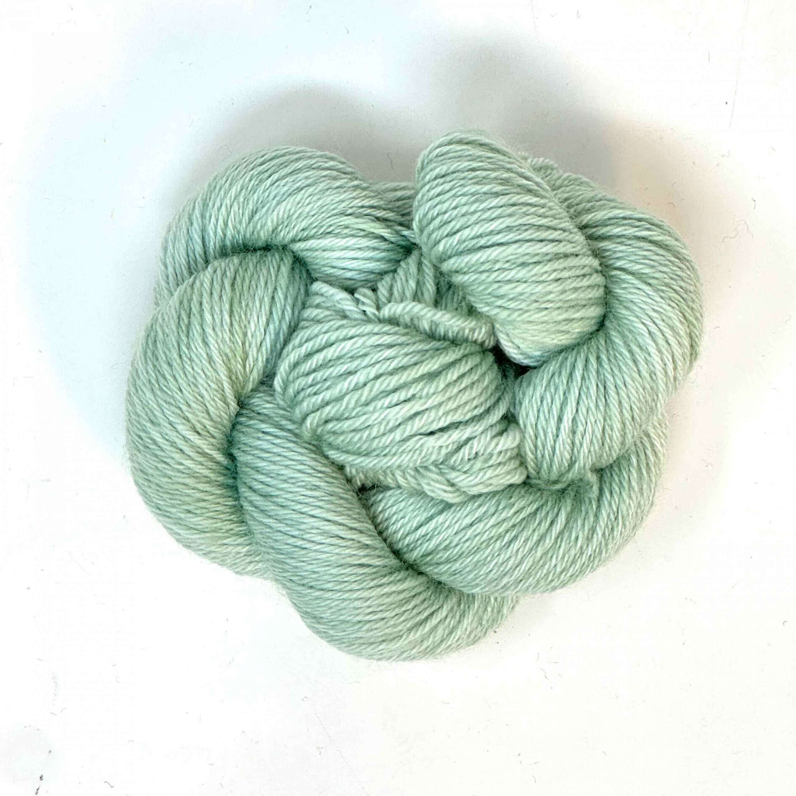 MINI MENTA